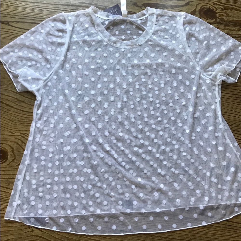 Cacique sheer polka dot crop tee, 14/16, NWT